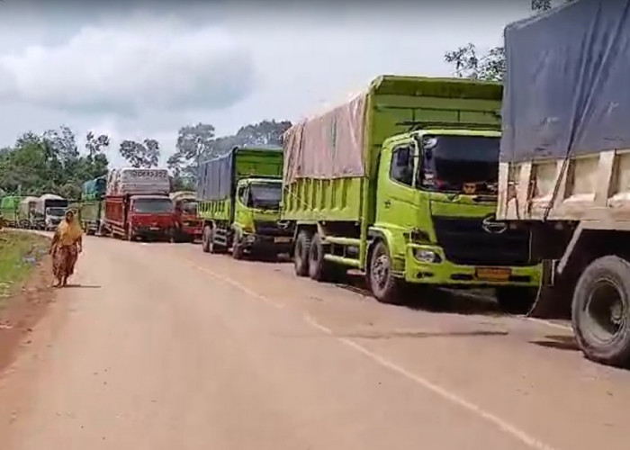 Macet Sampai 5 Km, Pemasangan Jembatan Bailey di Jalinsum Bungo untuk Menghubungkan Jambi-Sumbar Molor