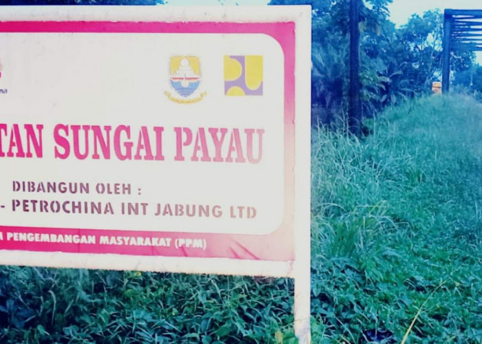 Jembatan yang Dibangun SKK Migas-PetroChina Banyak Membawa Manfaat, Masyarakat Berharap Bantuan Penerangan