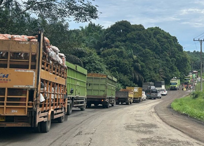 Waspada! Macet Sepanjang 12 KM di Jalintim Jambi-Pekanbaru di KM 76 Muara Papalik Tanjab Barat