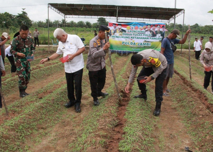 Ditandai dengan Tanam Jagung, Kapolres Sarolangun Launching Gugus Tugas Polri Dukung Ketahanan Pangan 