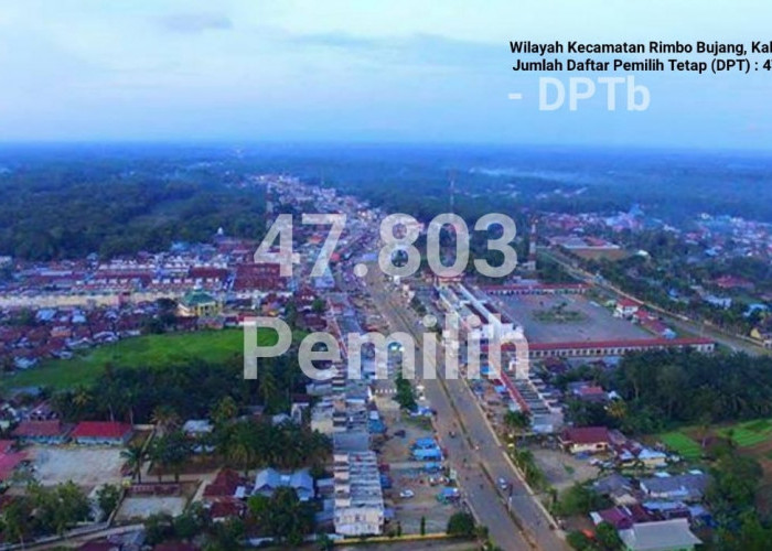Segini Jumlah DPT di Tebo, Terbanyak di Kecamatan Rimbo Bujang Dapil III 