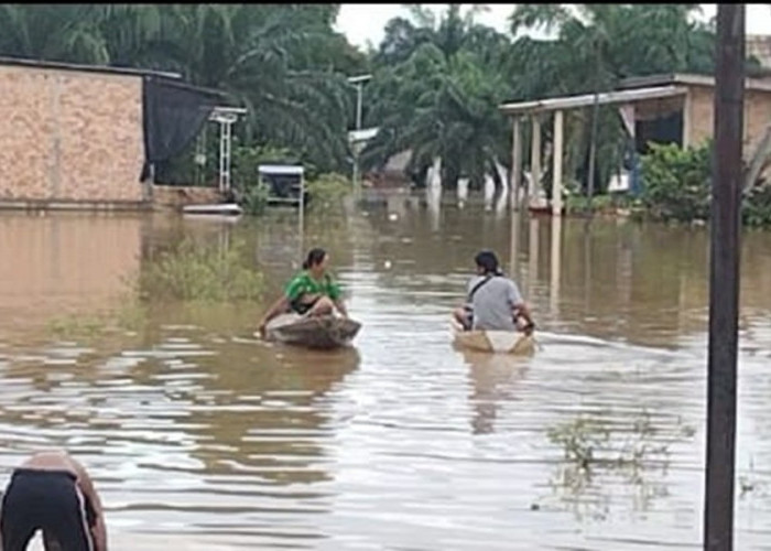 Ratusan Rumah Warga Tembesi di Batanghari Terendam Banjir Luapan Sungai Batanghari, Warga Butuh Bantuan!