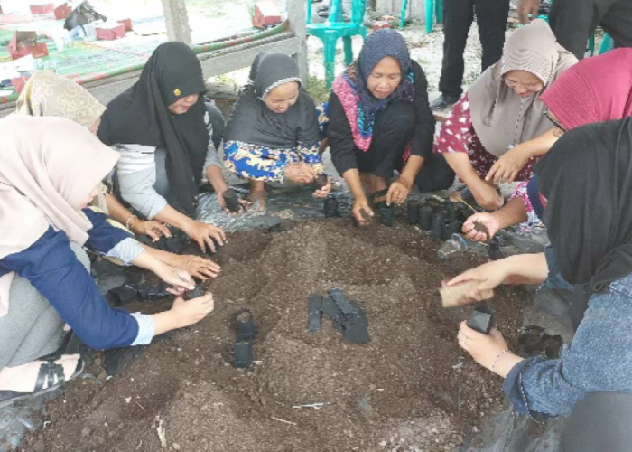 Inovasi Mikoriza dari Faperta UNJA: Solusi Kelompok Tani Muaro Jambi Hasilkan Bibit Cabai Unggul