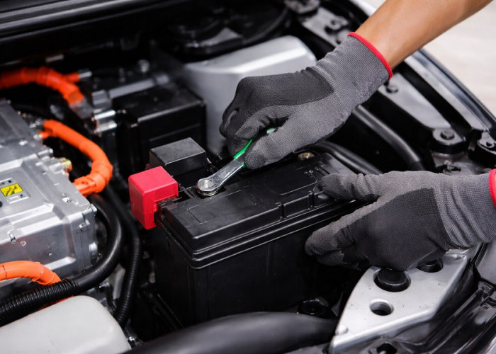 Mobil Listrik Ditinggal Lama? Pakar Otomotif Sarankan Jangan Lepas Aki Karena Ini