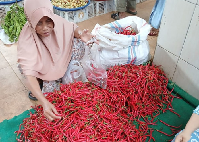 Harga Cabe Merah Naik Sampai Rp80 Ribu per Kilogram, Emak-emak di Kabupaten Bungo Mengeluh