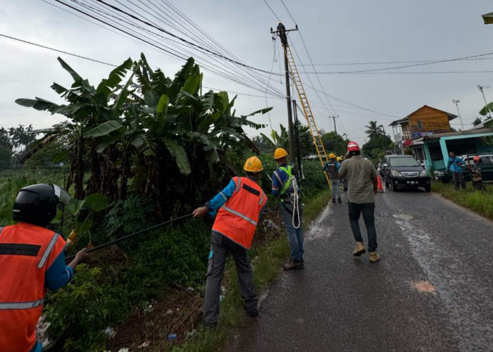 PLN Tanggap Bencana dan Pemulihan Kelistrikan di Tengah Cuaca Ekstrem