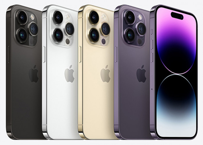 Update Daftar iPhone 11, iPhone 12, iPhone 13, iPhone 14, iPhone 15 Terbaru iBox Februari 2024