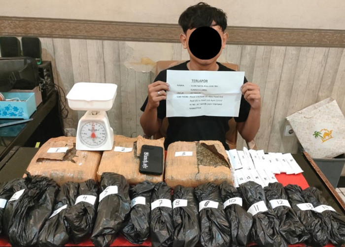 Nekat Nih! Timsus dan Satresnarkoba Polresta Jambi Amankan 4 Kilogram Ganja dari Pengedar Asal Lampung