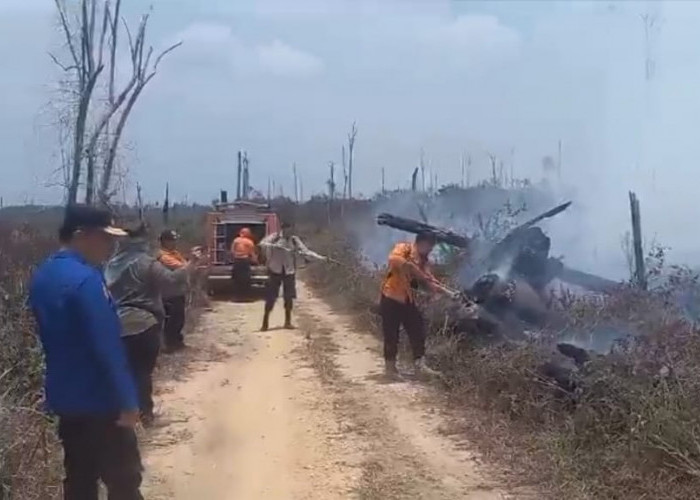 Sudah 100 Hektar Lahan Konsesi PT ABT yang Terbakar, BPBD Tebo Dirikan Posko