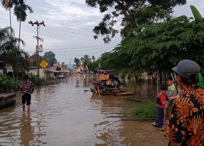 Banjir di Tebo Makin Meluas, Berapa Korban yang Terdampak? Cek Informasinya di Sini