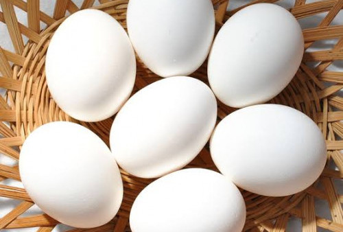 Wah, Ternyata Ini 5 Manfaat Konsumsi Putih Telur untuk Kesehatan
