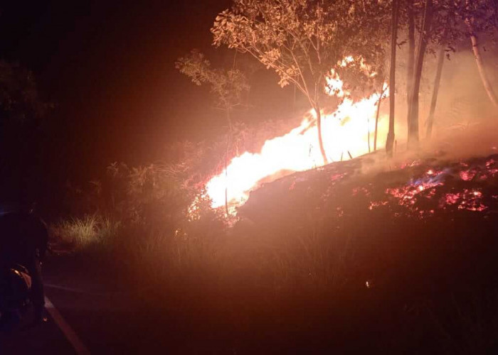 BREAKING NEWS : Kebakaran Lahan Terjadi di Lubuk Gajah Jatuh Desa Pungut Hilir Kerinci 