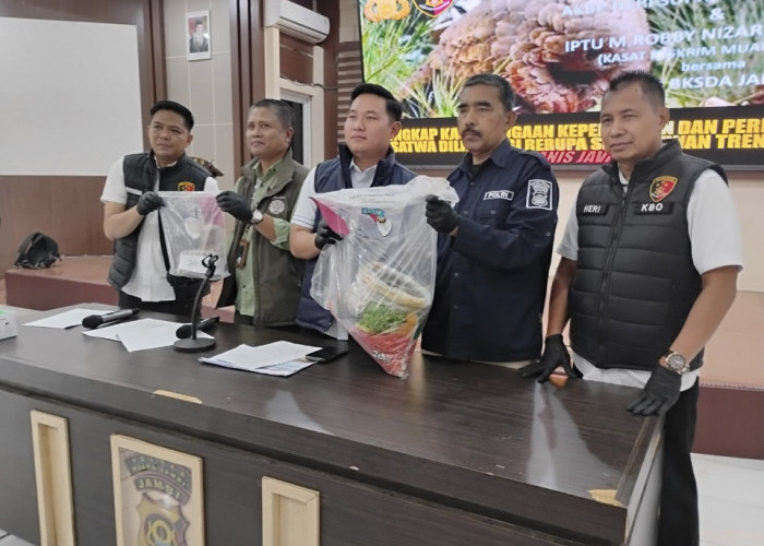 Jual 4,79 Kg Sisik Trenggiling, 2 Warga Muaro Jambi Terancam 15 Tahun Penjara