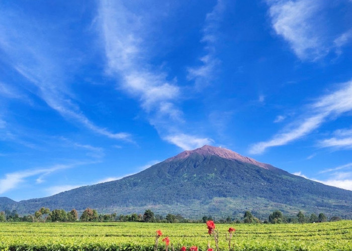 Menikmati Libur Akhir Pekan di Jambi? Simak Prakiraan Cuaca Sabtu, 18 Juli 2026 dan Tips Akhir Nyaman