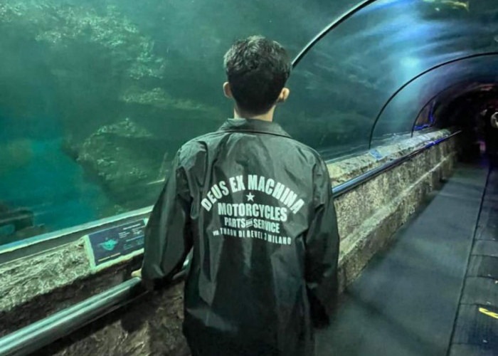 Hutan Tak Lagi Hijau: Ambisi Ekonomi yang Mengorbankan alam