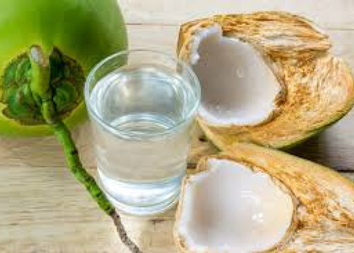 Mnejaga Hidrasi Tubuh dan Lebih dari Sekadar Pelepas Dahaga, Ini 3 Manfaat Minum Air Kelapa 