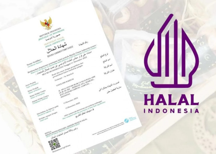 Jangan Terlambat! Ribuan Kuota Sertifikat Halal Gratis untuk UMKM Jambi Masih Tersedia, Batas Akhir Oktober