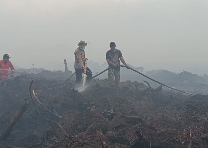 Karhutla di Jambi Belum Padam, Luas Lahan Terbakar Terus Bertambah