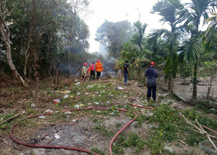 Lahan Dekat Permukiman Warga di Sengeti Terbakar, Damkar Muaro Jambi Kerahkan 1 Armada