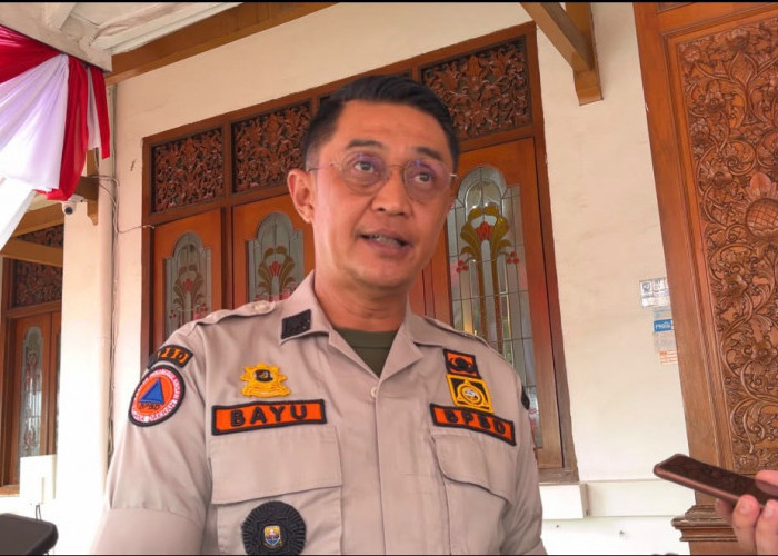 Karhutla Jambi Mencapai 300 Hektare, Belum Termasuk Karhutla Muarojambi