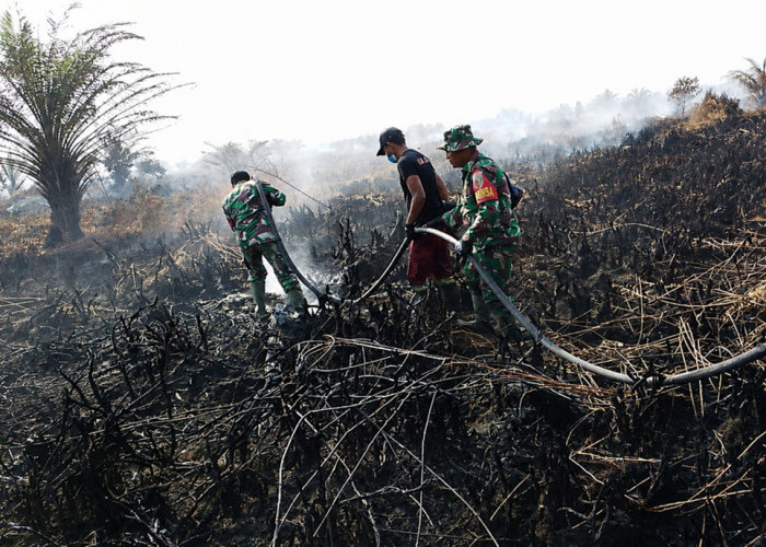 Karhutla Mengintai Muaro Jambi, TNI-Polri dan Tim Gabungan Bergerak di Londrang