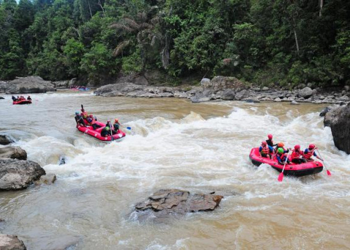 Siap-siap! Unesco Akan Datangi Geopark Merangin, Al Haris Minta Tambang Emas Ilegal Ditindak Tegas