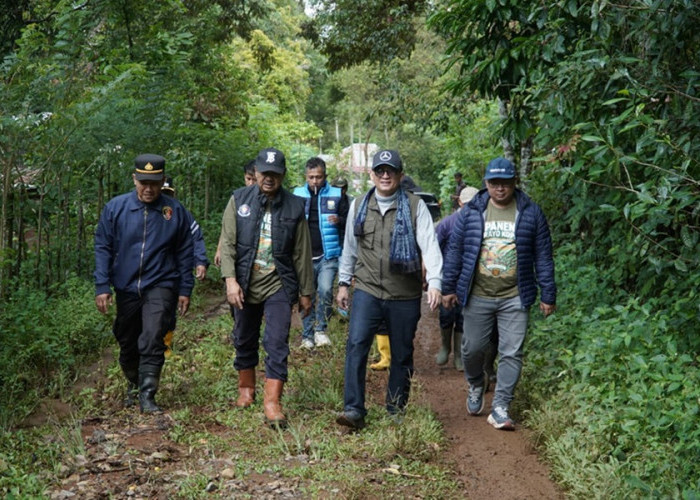 Lewati Jalur Ekstrem, Utusan Gubernur Jambi Tembus Kebun Kopi Kerinci di Ketinggian 1.200 Mdpl