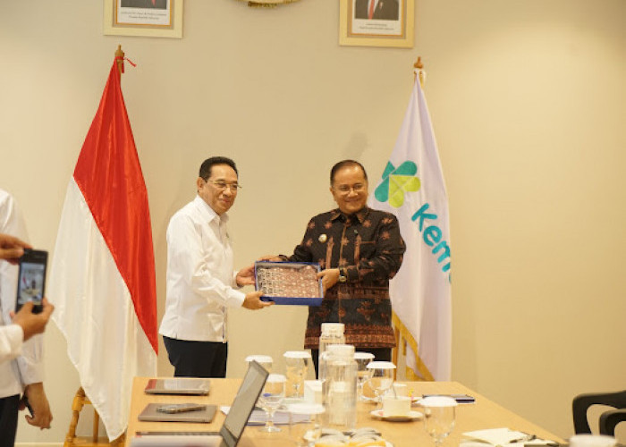 Kedekatan dengan Wamenkes, Maulana Dorong Jambi Jadi Pilot Project Kesehatan