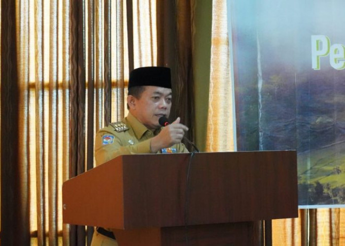 Dugaan Kasus Pelecehan di RSUD Raden Mattaher Jambi, Ini Perintah Gubernur Jambi Al Haris