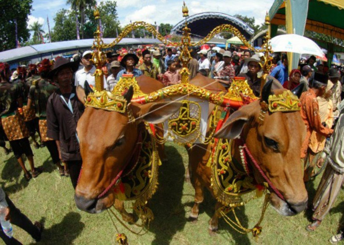 4 Tradisi Unik Perayaan Idul Adha di Berbagai Daerah di Indonesia