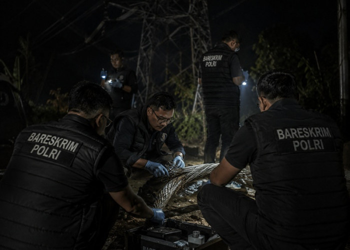 PLN Waspada! Polda Jambi Backup Investigasi Bareskrim Polri Terkait Blackout Sumatera