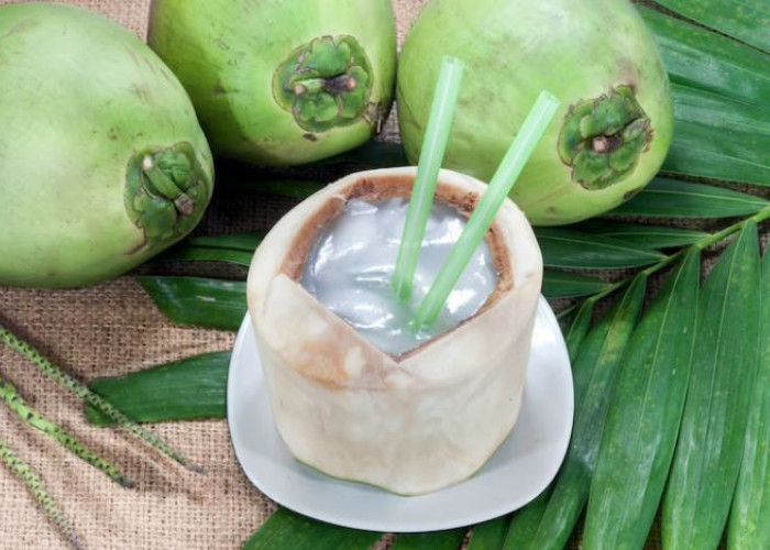 Deretan Resep Minuman Segar Dengan Campuran Kelapa Muda, Sehat dan Menyegarkan