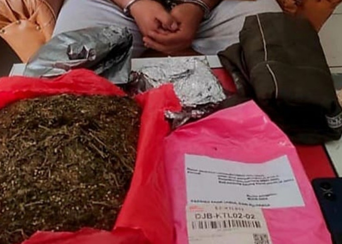 Dari Medan, Bandar Narkoba Kirim 1,5 Kilogram Ganja ke Tanjab Barat lewat JnT, Satu Orang Ditangkap