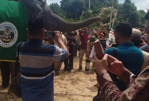 Gubernur Jambi Al Haris Resmikan Pusat Penangkaran Gajah di Kabupaten Tebo
