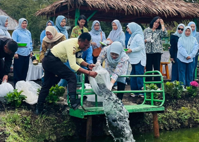 Ketahanan Pangan, IKBI PTPN Sebar Ikan Nila di kolam Stunting 