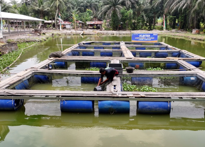 Desa Empang Baru Makin Ngebut, Program BRI Dorong Ekonomi Warga Kian Tumbuh
