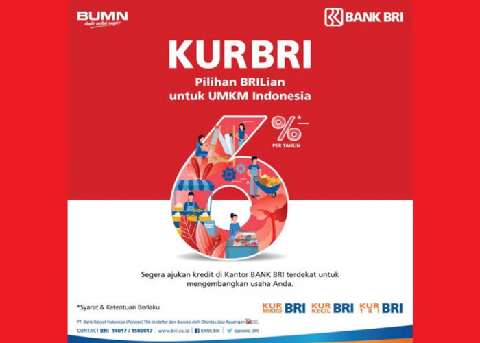 Program KUR BRI: Solusi Finansial Andalan untuk UMKM, Dorong Pertumbuhan Ekonomi Lokal