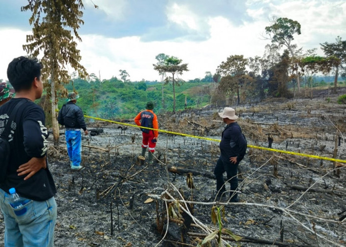 Karhutla Jambi! 55 Hektare Lahan di PT REKI dan Samhutani Terbakar: Polda Masih Dalami Kasusnya