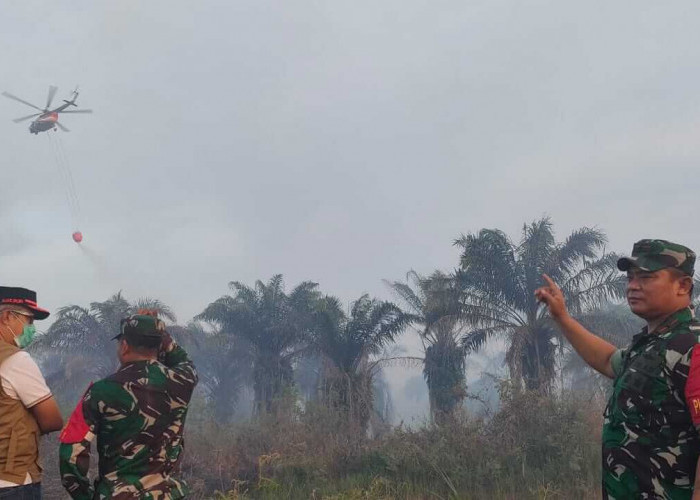 4 Hari Padamkan Api, Ratusan Personil Ditarik Dari Desa Ramin Muaro Jambi