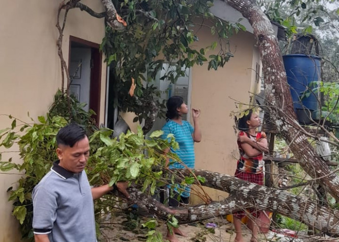 3 Rumah Warga di Kelurahan Bagan Pete Rusak Terbawa Angin Puting Beliung 
