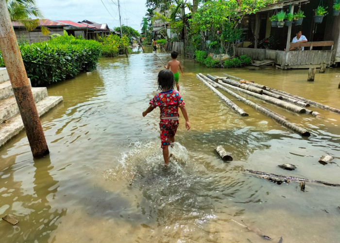 Banjir di Simbur Naik di Manfaatkan Anak-anak Bermain, Awas Bahaya Hewan Berbisa Ini