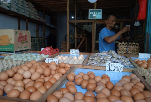 Harga Telur di Jambi Turun, Begini Penjelasan Pedagang di Pasar Angso Duo