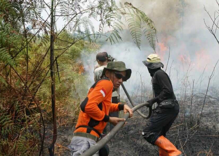 Perkuat Pertahanan Hutan Harapan dari Karhutla,  Kolaborasi Menjaga Hutan Hujan Dataran Rendah Sumatra