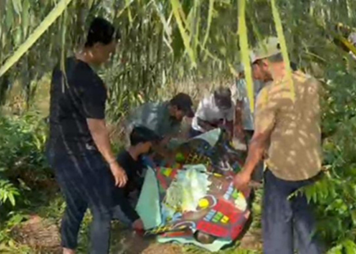 Warga Geragai Geger! Lansia 83 Tahun yang Sempat Hilang Ditemukan Tewas Mengambang di Sungai