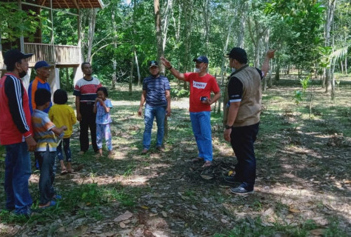 Kecamatan Jambi Timur Rencanakan Kawasan Wisata Pulo Sijenjang, Camat: Tinggal Cari Donatur