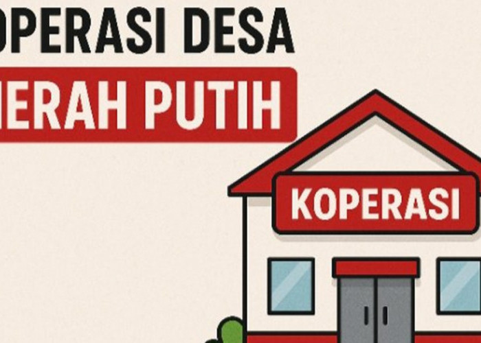 Dibuka 30.000 Lowongan! Jadi Manajer Kopdes Merah Putih, Gaji BUMN & Penempatan Seluruh Indonesia