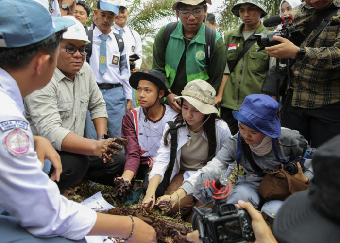 KLH Bersama APP Group Ajak Generasi Muda Kenali Pengelolaan Ekosistem Gambut melalui Program KELANA di Jambi
