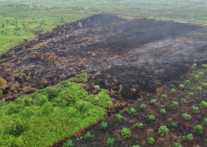 Karhutla Muarojambi Meluas, 18 Kasus dengan total 37,95 Hektare Lahan Terbakar