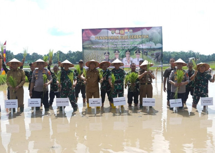 Danrem 042/Gapu Dukung Penuh Penanaman Padi Serentak di Jambi untuk Memperkuat Swasembada Pangan Nasional