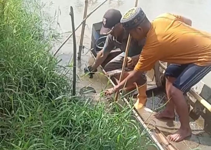 Geger! Mayat Tanpa Identitas Ditemukan Mengapung di Sungai Batang Merao Sungai Penuh